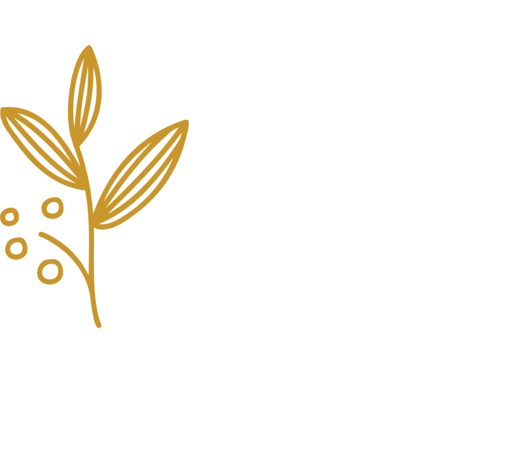 MS Interior logo